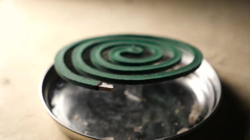 Mosquito Coil Repellent
Close Up Of Mosquito Coil