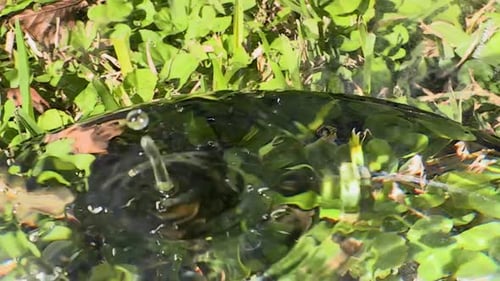 Gotas de agua Slowmotion