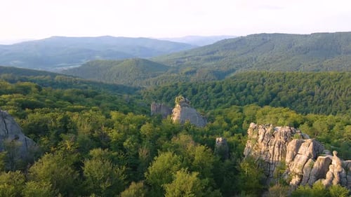 Aerial View of Bright Landscape with Green Forest Trees and Big Rocky Boulders Between Dense Woods