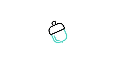 Nut Animated Icon
