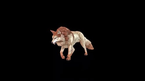 Brown Wolf Walk