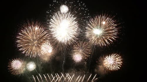 Brilliant Fireworks Exploding Against Dark Night Sky