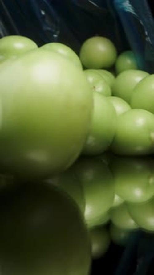 Vertical video. Green Cherry Plums Spill out of a Blue Bag onto a Black Table. Slow Motion Close-up.