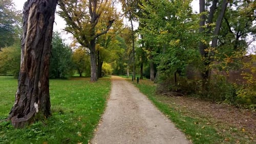 A walk in the autumn park along a well-maintained path. Colored trees and bushes. Fallen yellow and