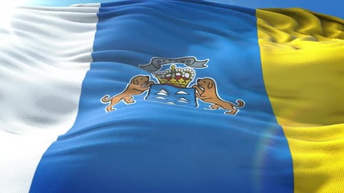 Realistic Waving Flag with Emblem and Coat of Arms