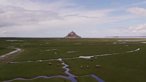 Aerial view of historic abbey, church, sheep on island, France.