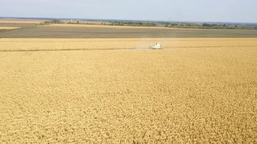 Different Combine Machines Harvesting Corn In The Field 33