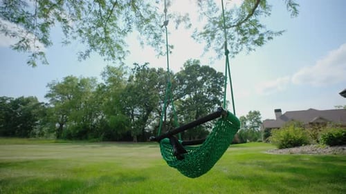 Empty Tree Swing in a Green Backyard