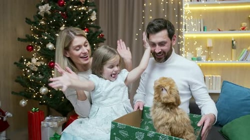 Happy parents make a surprise gift of a small dog puppy from Santa to a child for Christmas or New