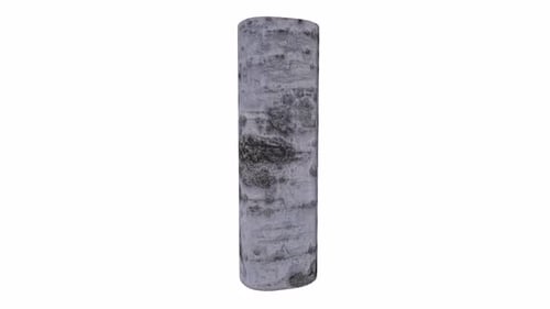 3D-Objekt mit rotierender Schleife von Wood Log
