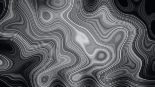 Abstract Grayscale Fluid Organic Flowing Background