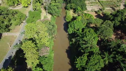 Aerial view of a river in a beautiful park in a metropolitan city in Brazil