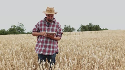 Young Adult Farmer Male Using Digital Tablet in a Golden Wheat Field