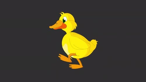 Duck Walk