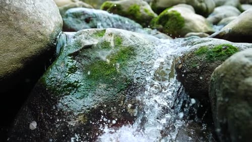 Stream of Water Flows Between the Stones