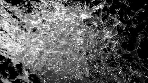 Splash