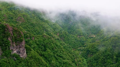 Aerial View Forested Mountains Slopes Covered Fog Picturesque Lush Green Hills