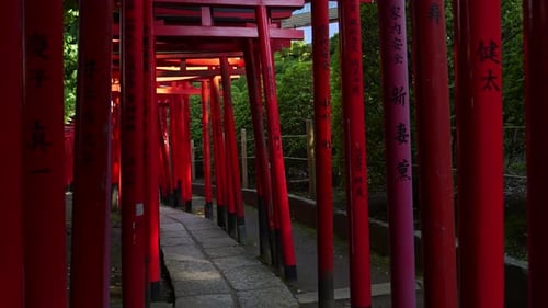 Stunning super slow motion walk through traditional red torii gates in Japan