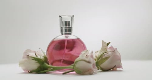 Elegante Parfümflasche mit rosa Flüssigkeit und weißen Rosen auf weißem Hintergrund