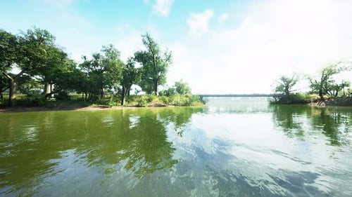 Beautiful Morning Light in Public Park with Green Grass Field