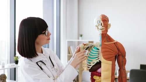 Medical Professional Explains Human Anatomy on Model