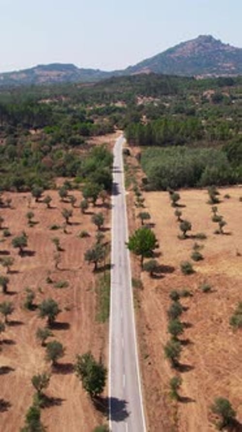 Aerial Vertical View of Country Road