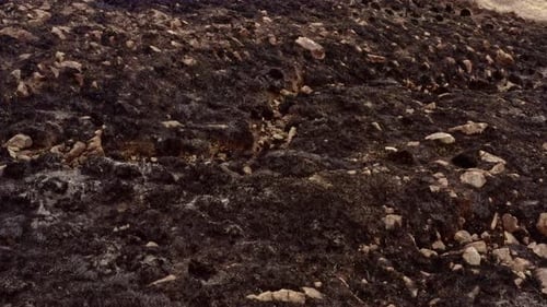 Aerial View of a Burned Hillside Landscape