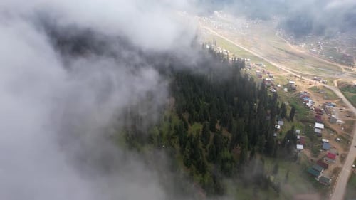 Village by the foggy forest