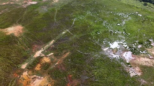 Aerial Wetland Marsh With Water Pools And Animal Trails