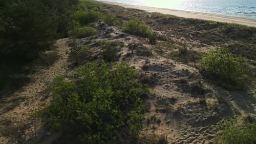 Aerial View of Beach Sand Dunes and Ocean