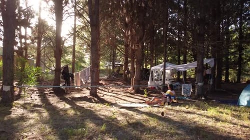 Young woman in camp on wild pine forest, sitting reading a book at sunset.