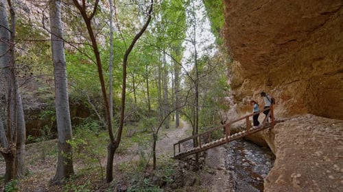 Nature Walk