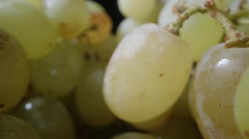 Bunch of Green seedless grapes, on a black background. Dolly slider extreme close-up inside.