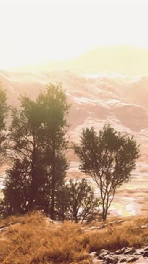 A Scenic Landscape with Trees and Mountains in the Background