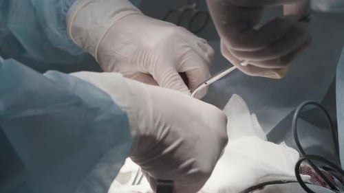 Surgeons Performing a Complex Surgical Procedure