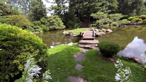 Steadicam shot crosses foot bridge onto small island with ornate pine tree in a Japanese garden.