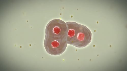 virus particles interacting with cells, illustrating the complex scientific environment