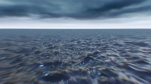 Ocean Flyover 1