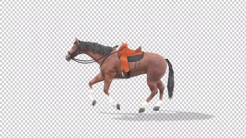 Racer Horse Run Alpha Channels
