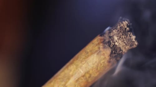 Frau zündet eine große konische CBD-Marihuana-Zigarette oder einen Drogenjoint mit einer Feuerzeugfigur an, Makro-Nahaufnahme