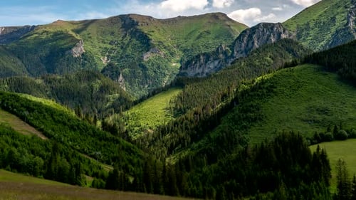 Lush Green Valley in Beautiful Mountain Landscape