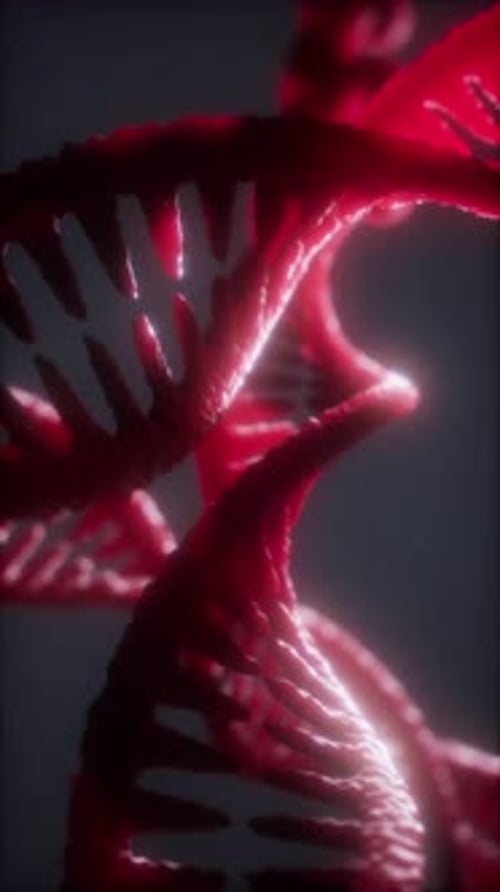 Loop Double Helical Structure of Dna Strand Closeup Animation