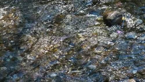 Transparentes Kristallwasser, das sanft über das felsige Flussbett fließt