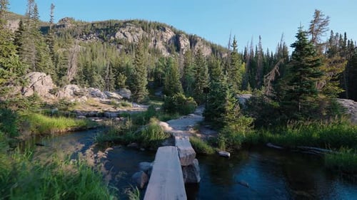 Serene Forest River Reflecting Green Trees Beneath Soft Daylight Glow Gently
