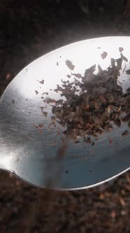 Vertical video. Fine-grained dry tea pouring onto a spoon, with a background of small dry tea leaves