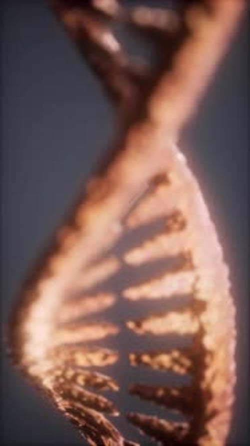 Intricate Structure of DNA Showcased in a Detailed Microscopic View