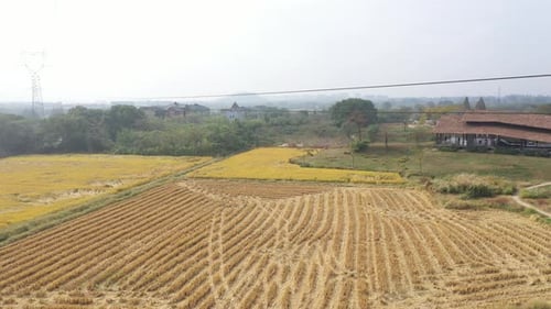 Aerial View of the Ancient Village Landscape at the Liangzhu Cultural Site in Hangzhou China