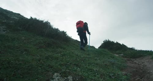 Young Man Hike on Cinematic Coast Mountain Road
