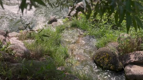 Stream of a Water Mill Runs Into a Farm Pond