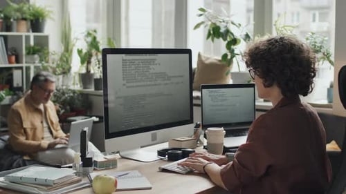 Woman Working with Software on Computer